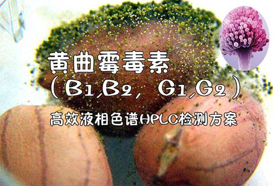 黄曲霉毒素（B1,B2，G1,G2）的高效液相